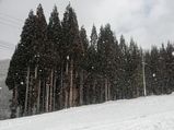 岐阜高山スキー